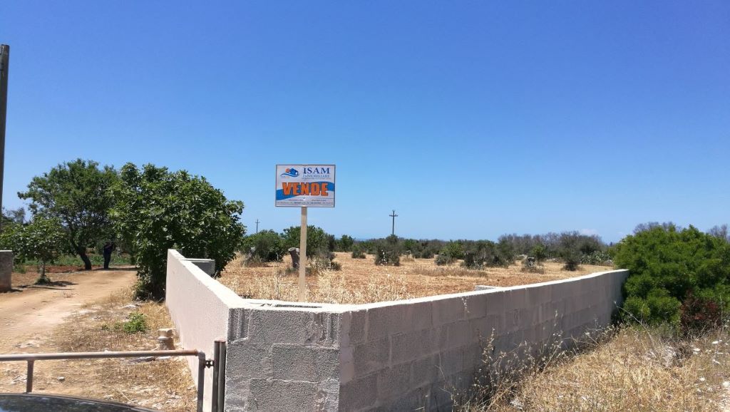 Terreno Agricolo in Vendita Taviano Salento