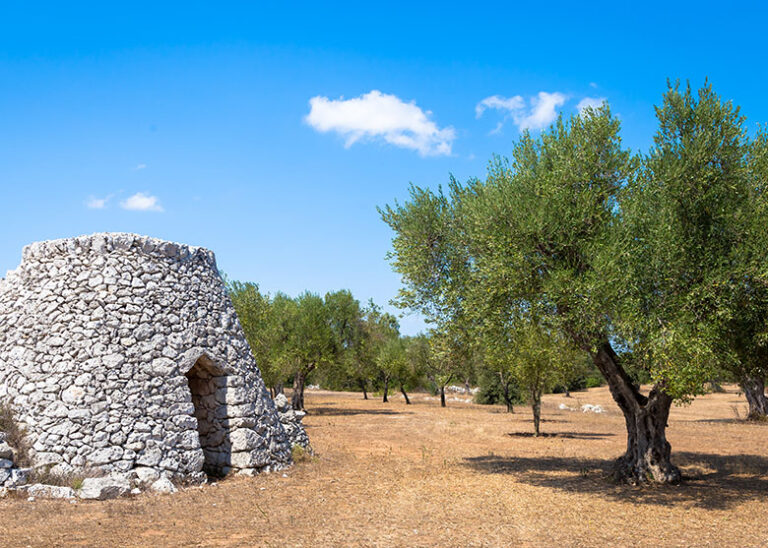 salento Case Vacanza entroterra