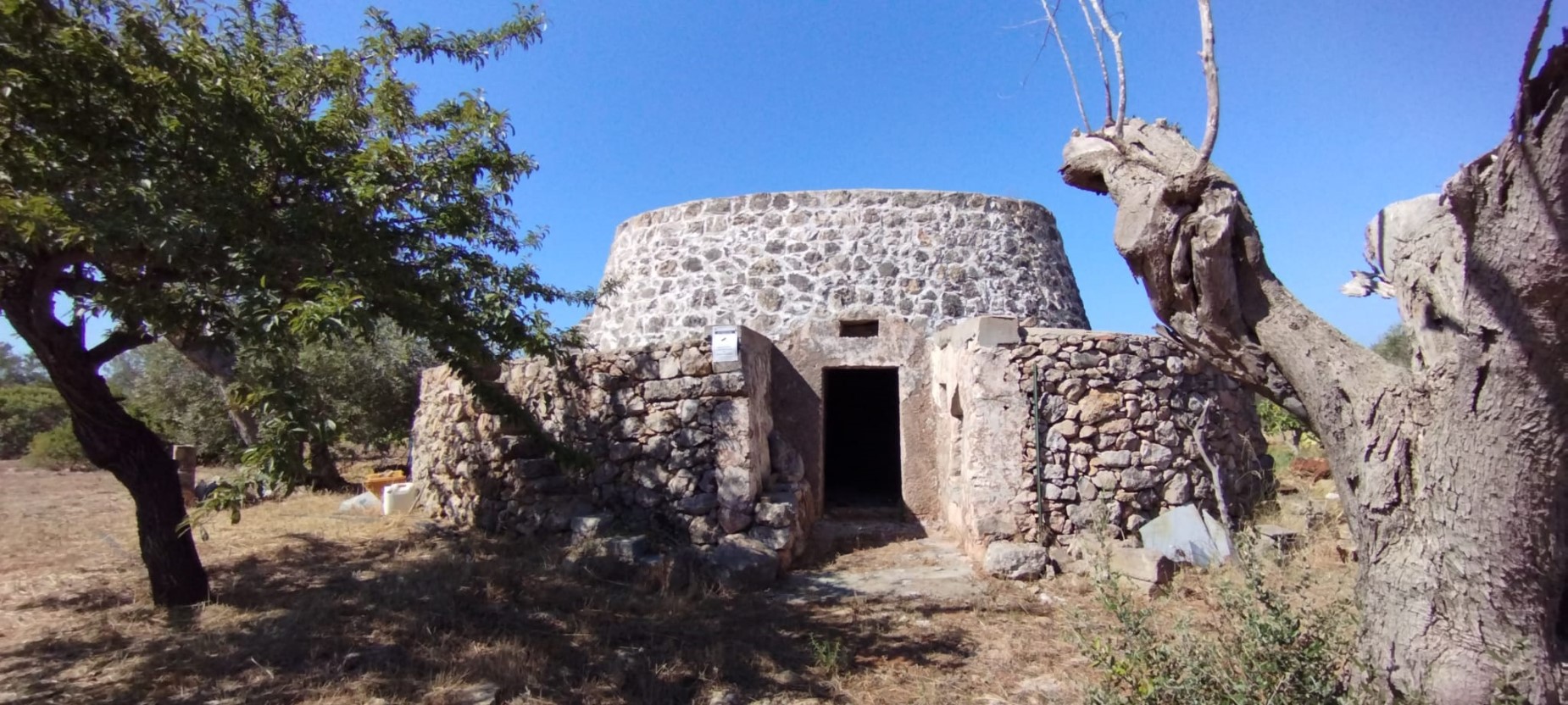 Terreno Agricolo con Trullo